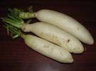 Daikon