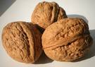 Nueces